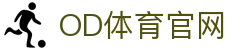 OD体育 - 欧洲杯合作平台